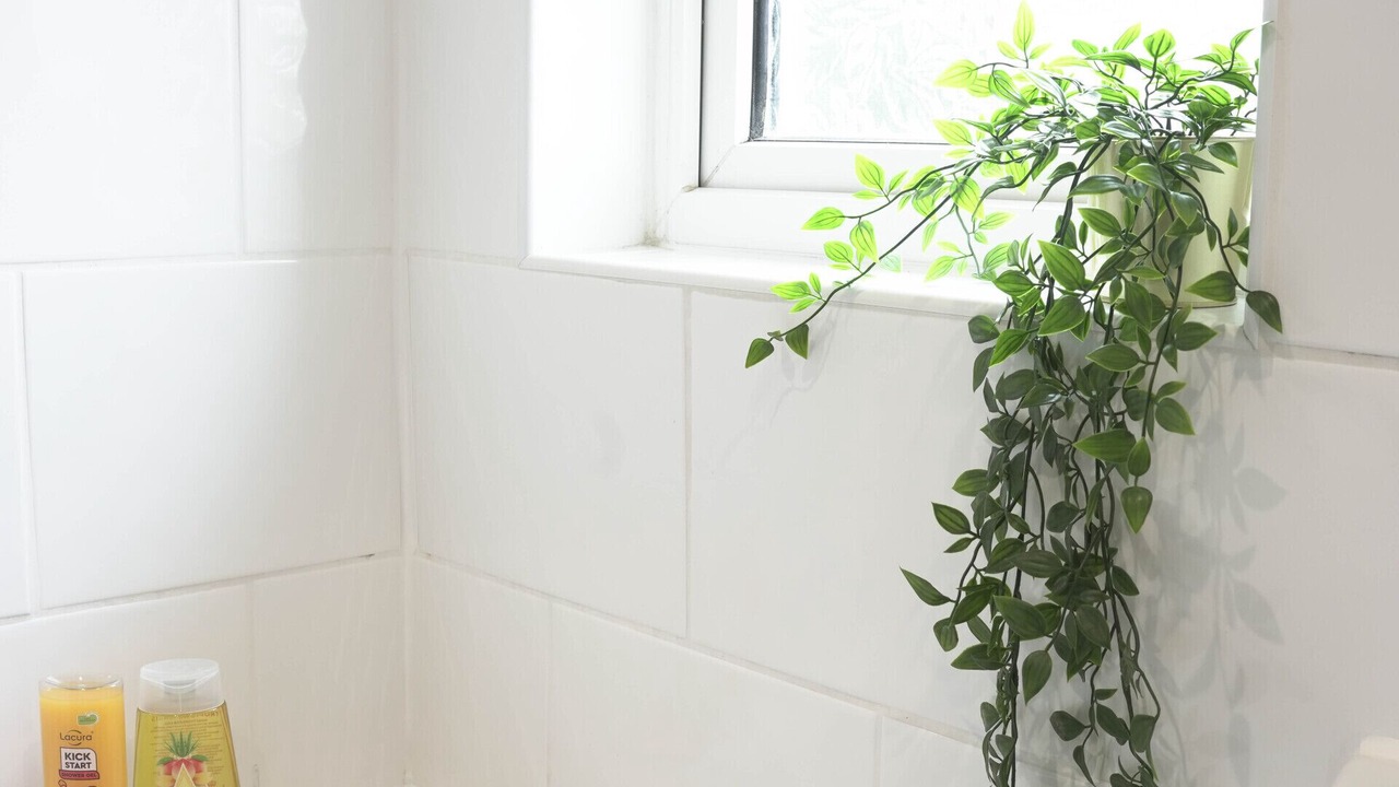 Photo of Others in Bathgate