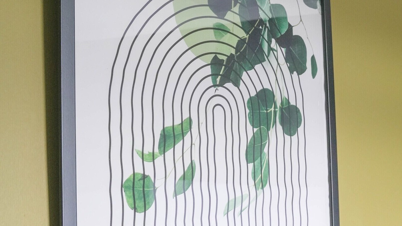 Photo of Others in Bathgate