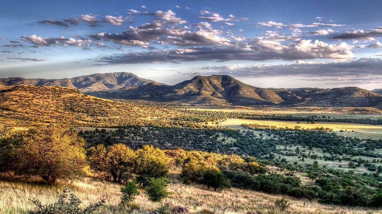 Photo of Others in Fort Davis
