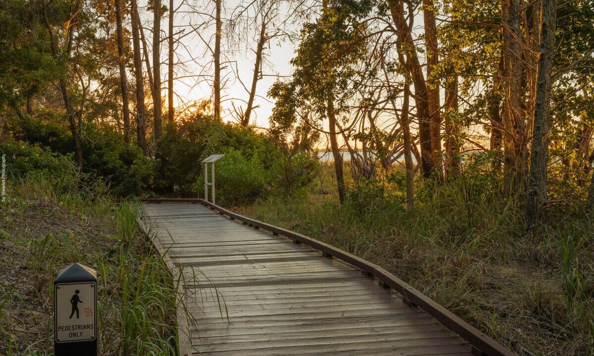 Photo of Others in Torquay