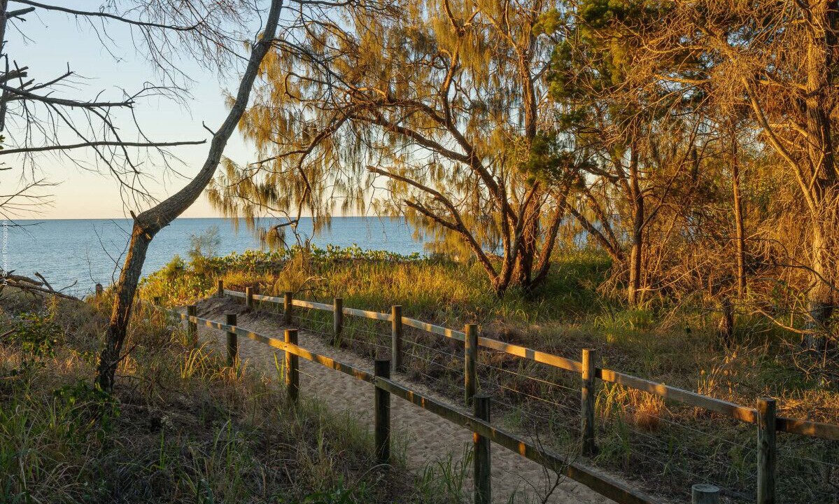 Photo of Others in Torquay