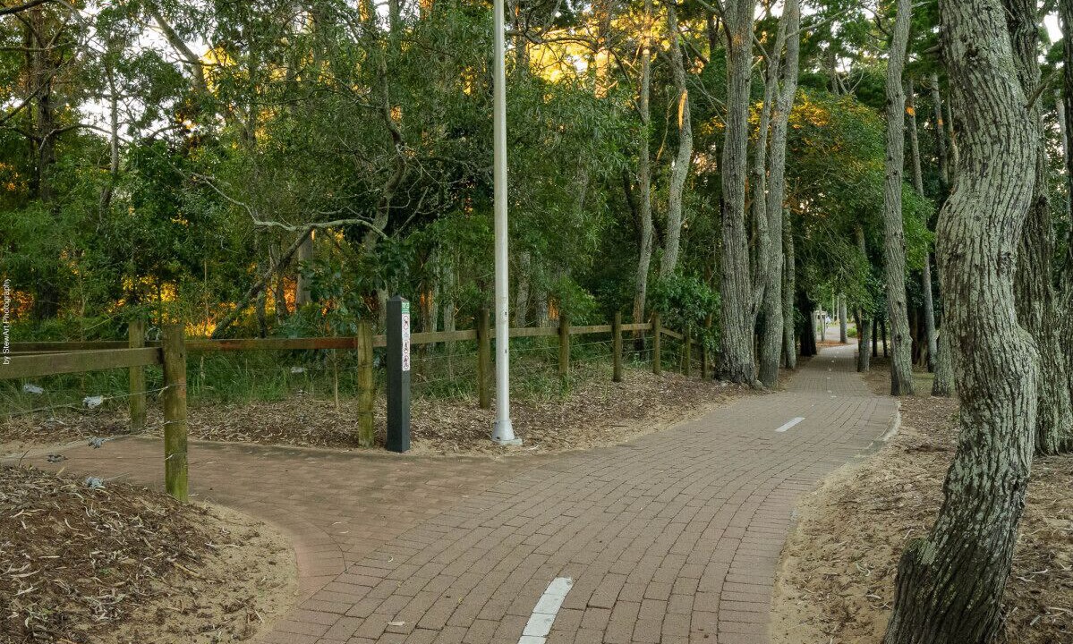 Photo of Others in Torquay