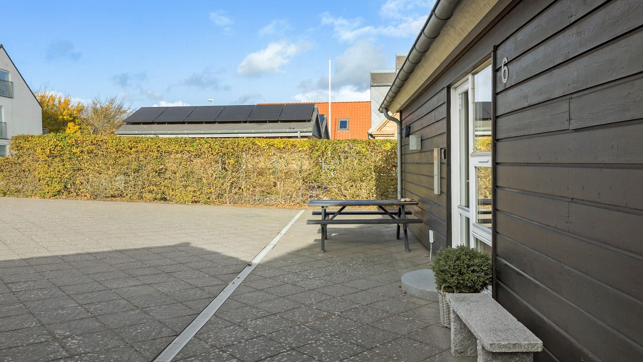 Photo of Others in Fur