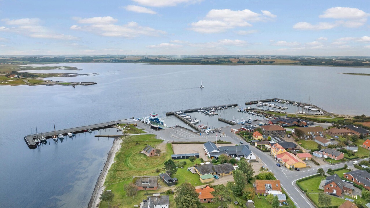 Photo of Others in Fur