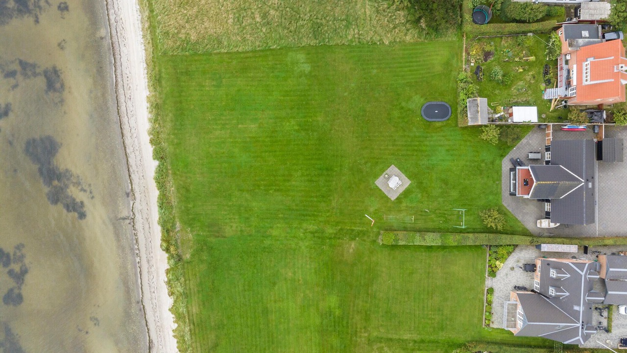 Photo of Others in Fur