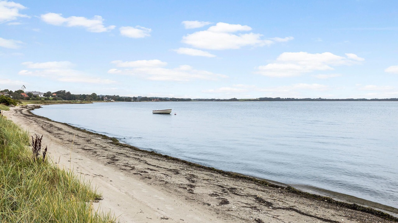 Photo of Others in Fur