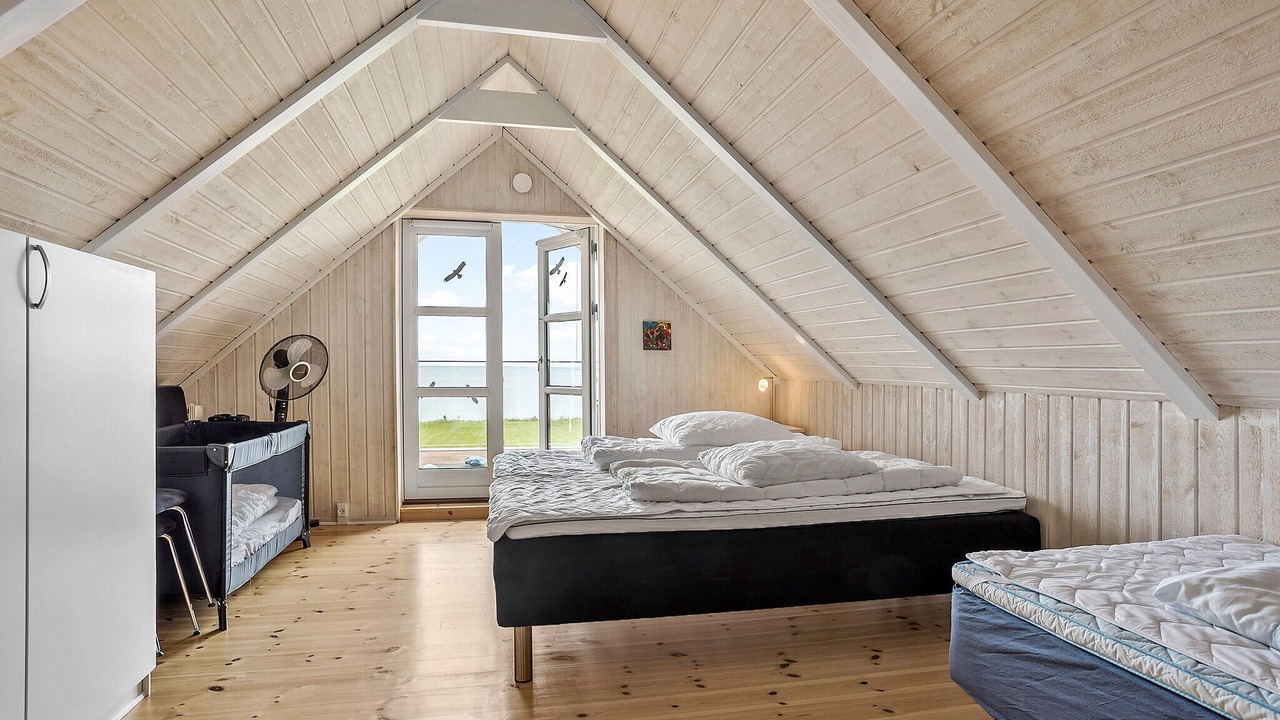 Photo of Others in Fur