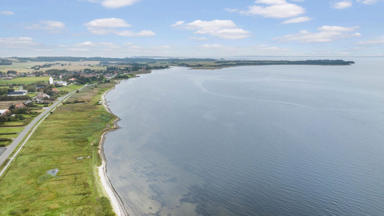 Photo of Others in Fur