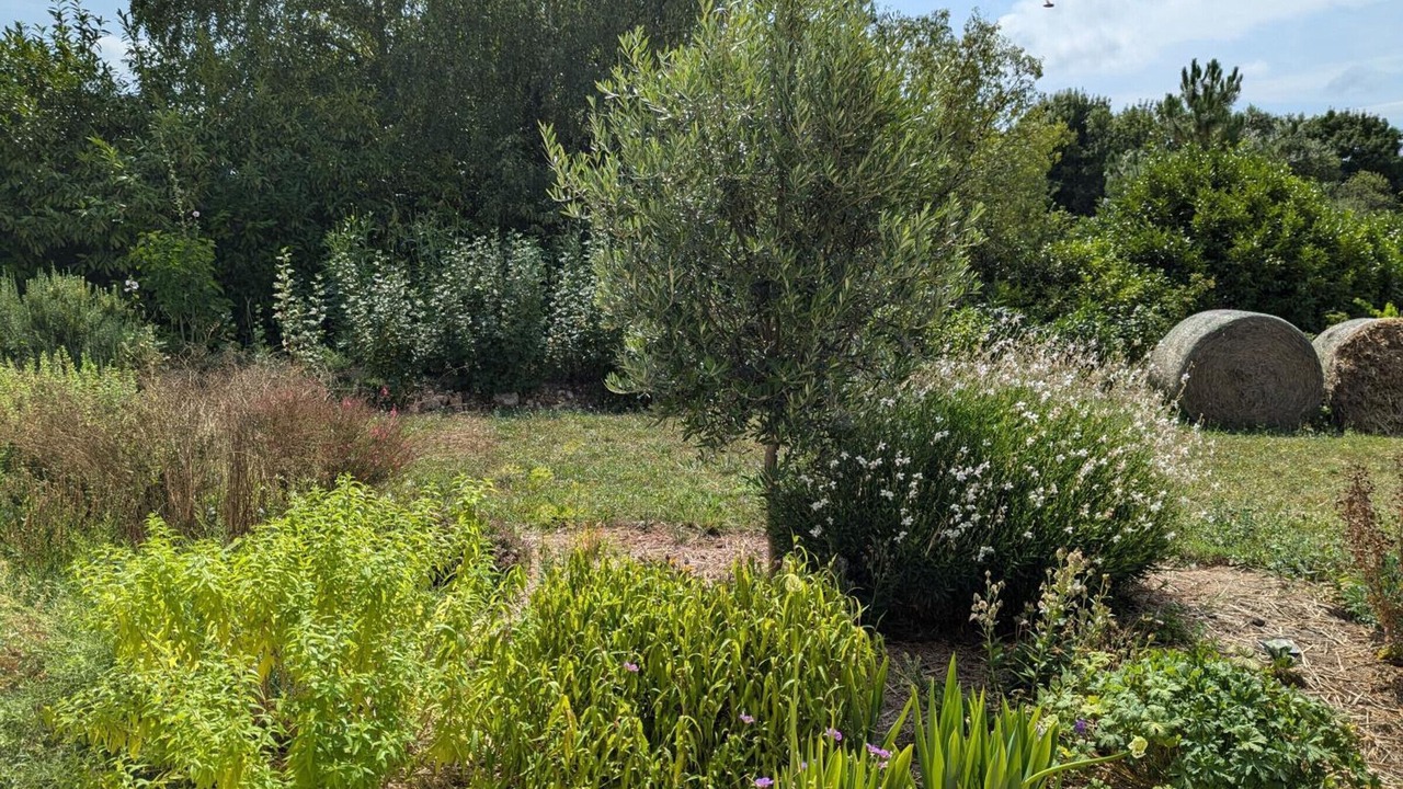 Photo of Outdoor in Baignes-Sainte-Radegonde