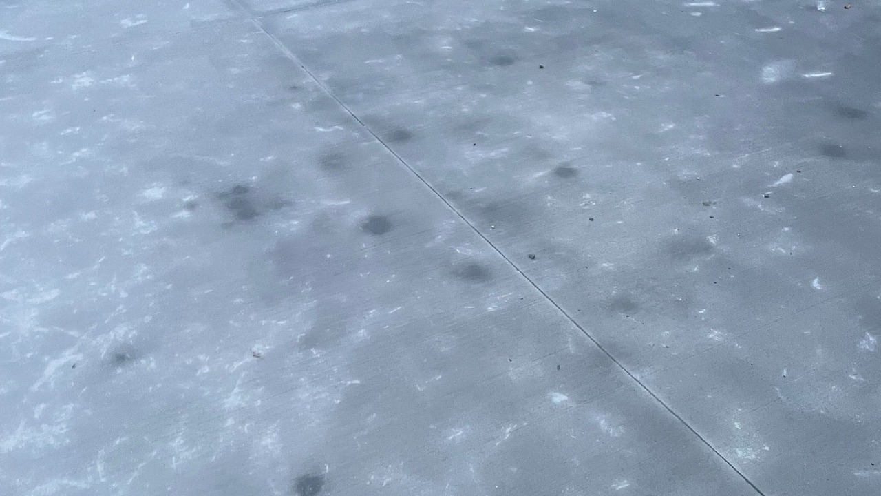 Photo of Outdoor in West Harbour