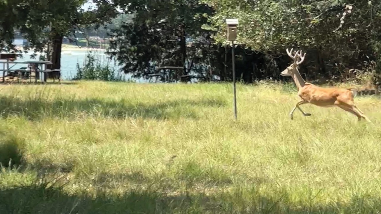 Photo of Others in Fort Worth