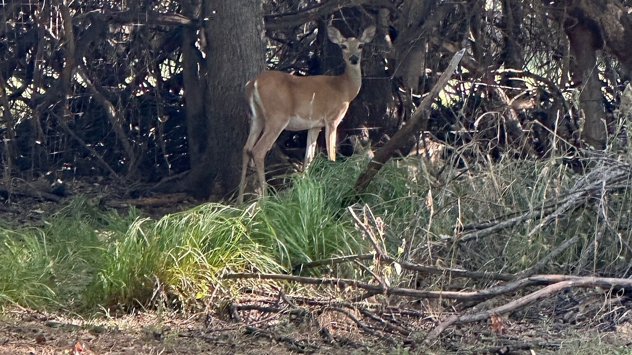 Photo of Outdoor in Fort Worth