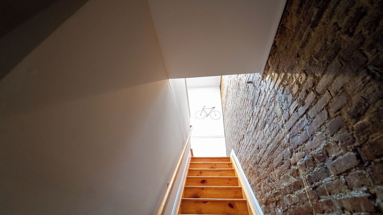 Photo of Others in Ocean Hill