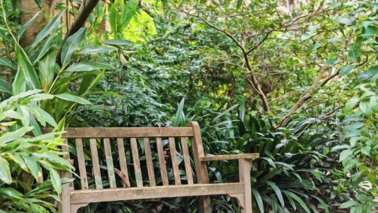 Photo of Outdoor in Elwood