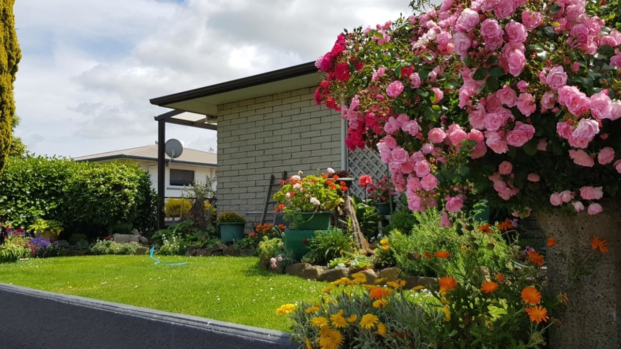 Photo of Outdoor in Woodville