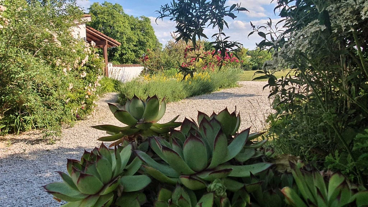 Photo of Outdoor in Eclance