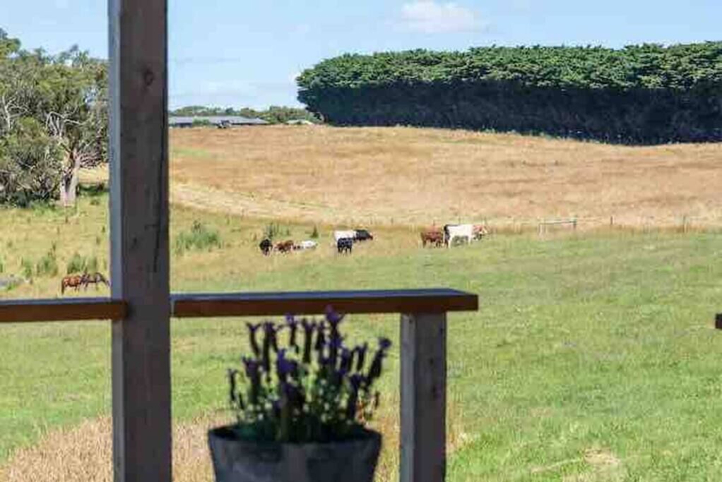 Photo of Outdoor in Timboon