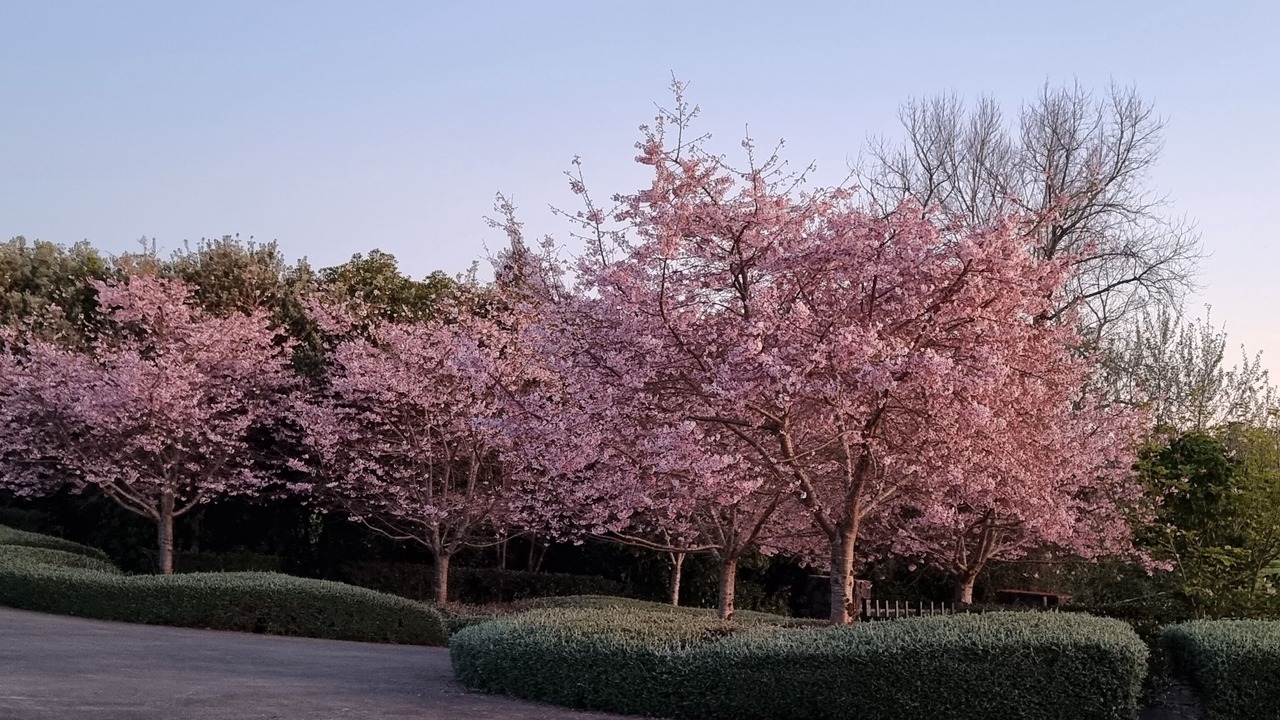 Photo of Outdoor in Glenbrook