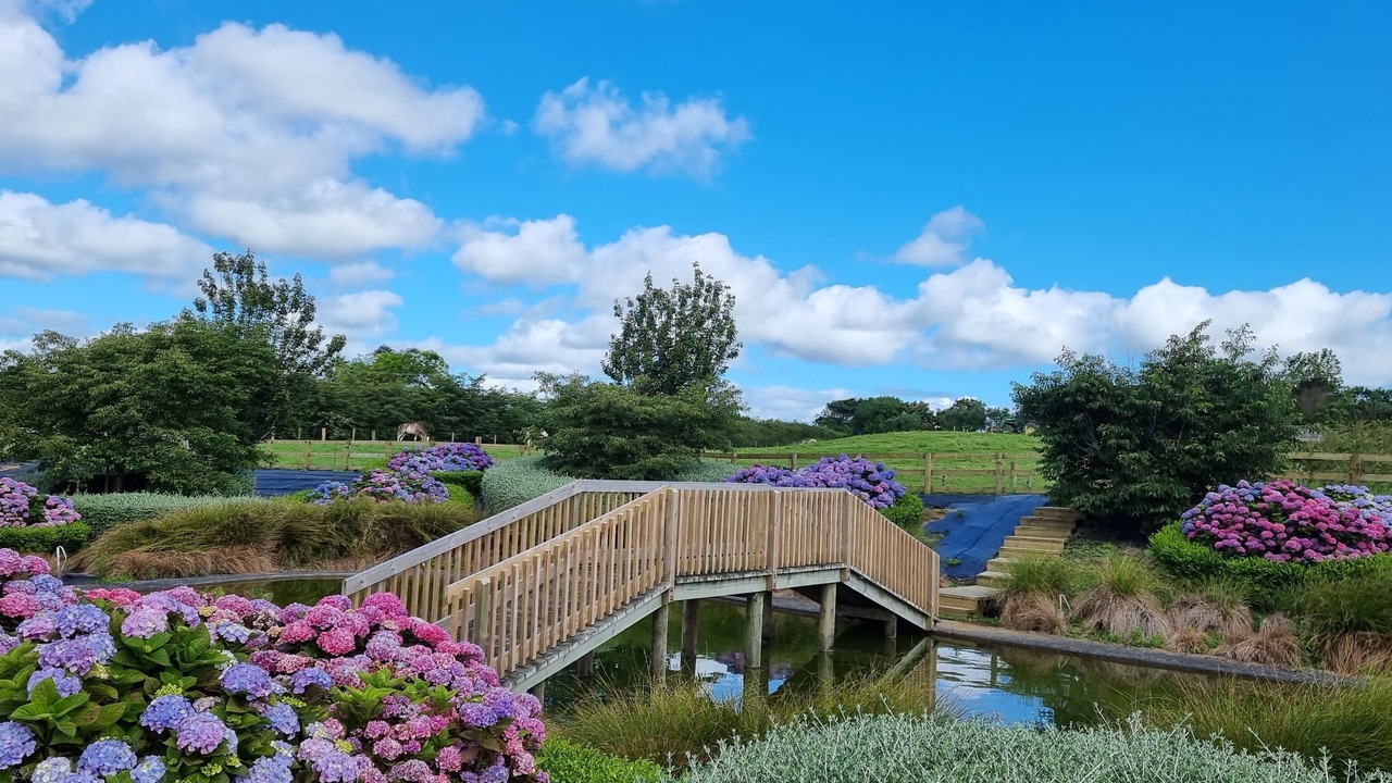 Photo of Outdoor in Glenbrook