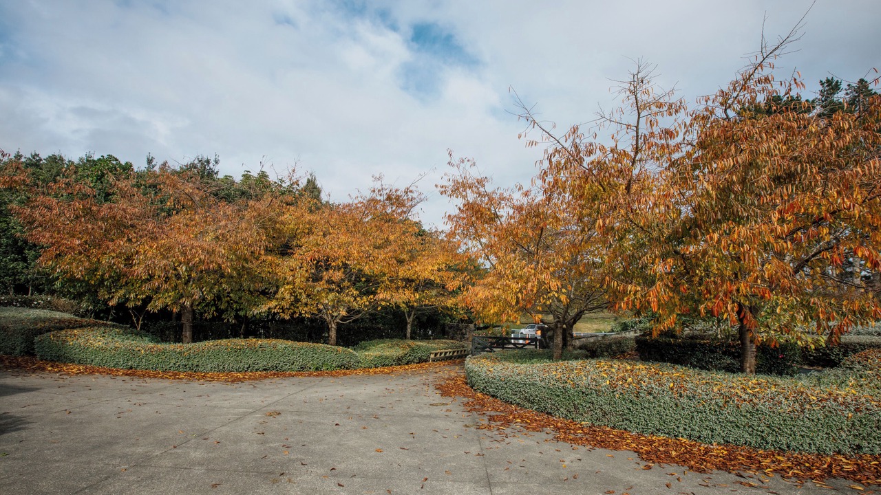 Photo of Outdoor in Glenbrook