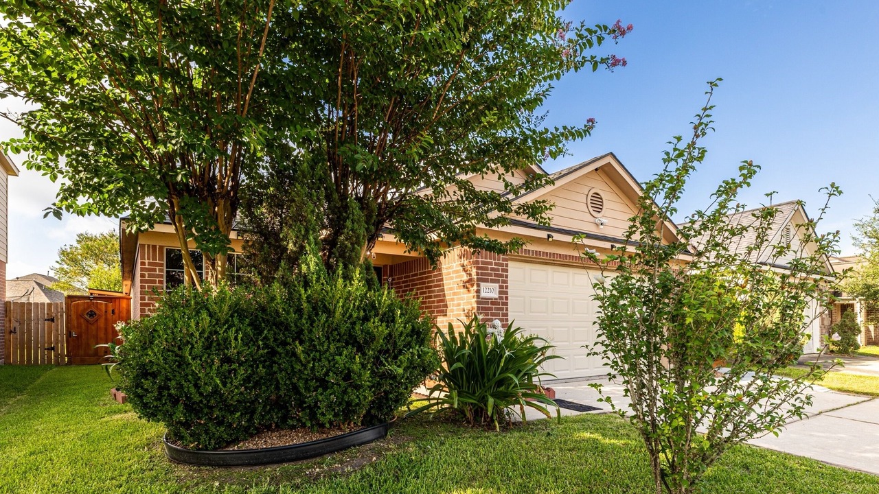 Photo of Outdoor in Atascocita