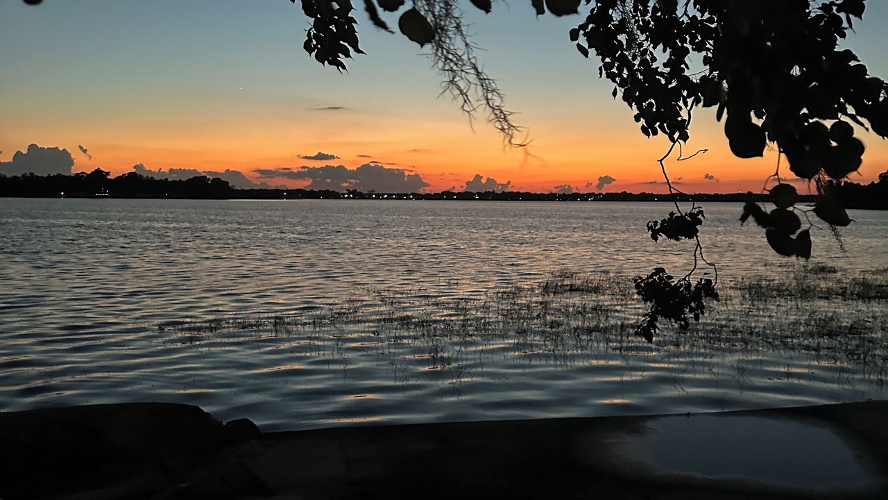 Photo of Others in Winter Haven