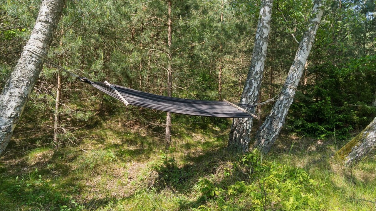 Photo of Outdoor in Pedersker