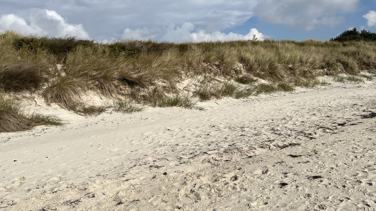 Photo of Outdoor in Pedersker