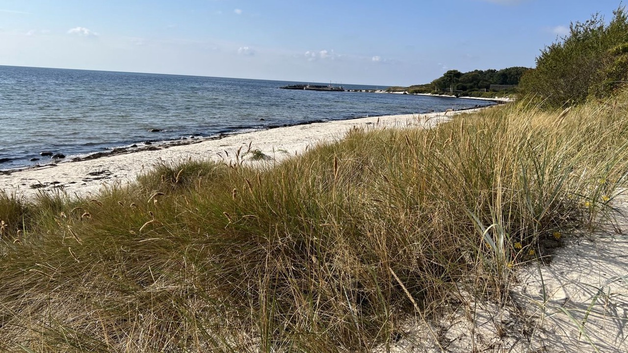 Photo of Outdoor in Pedersker