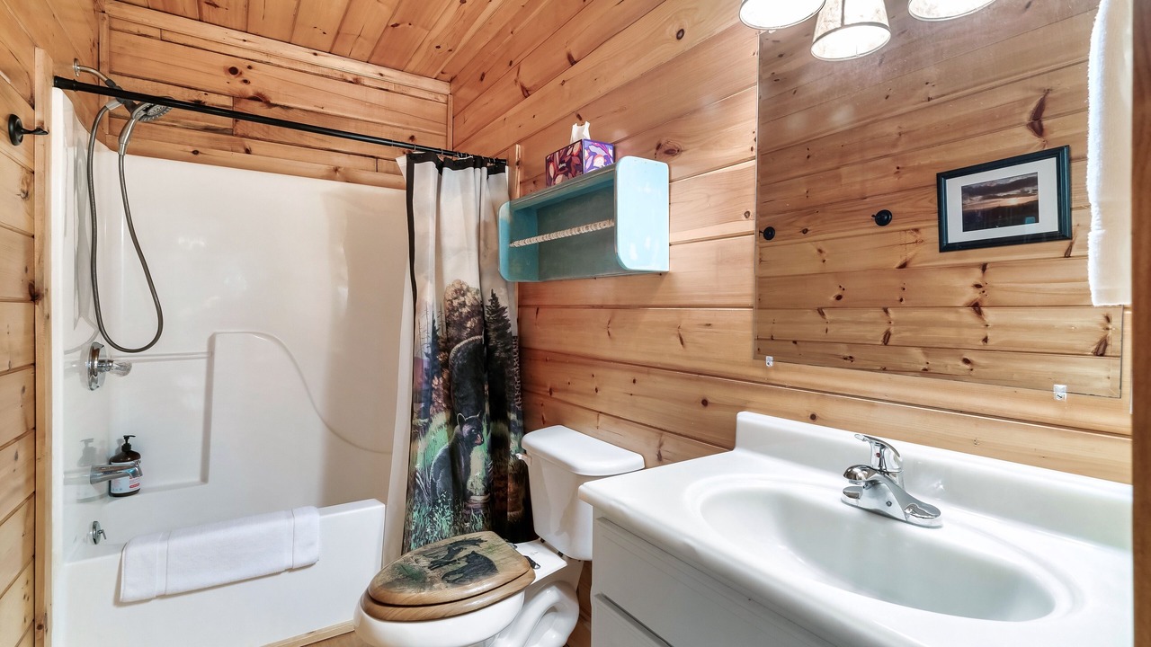 Photo of Bathroom in Tellico Plains