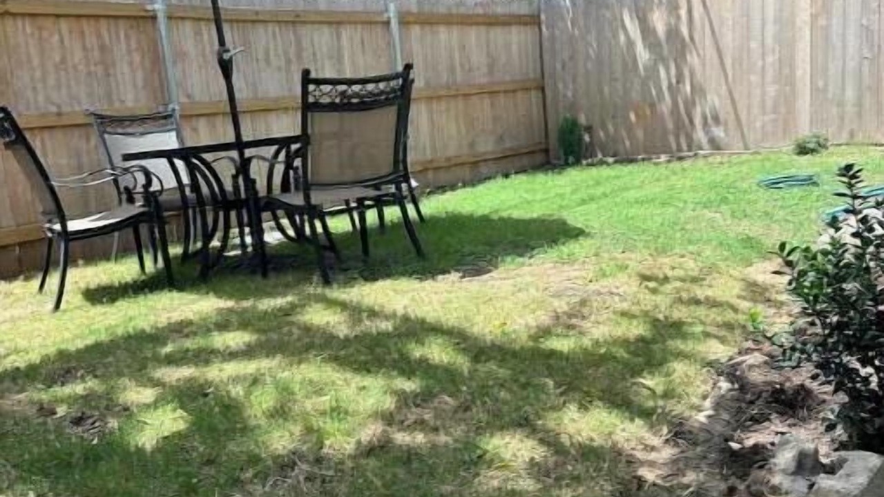 Photo of Outdoor in South Arlington