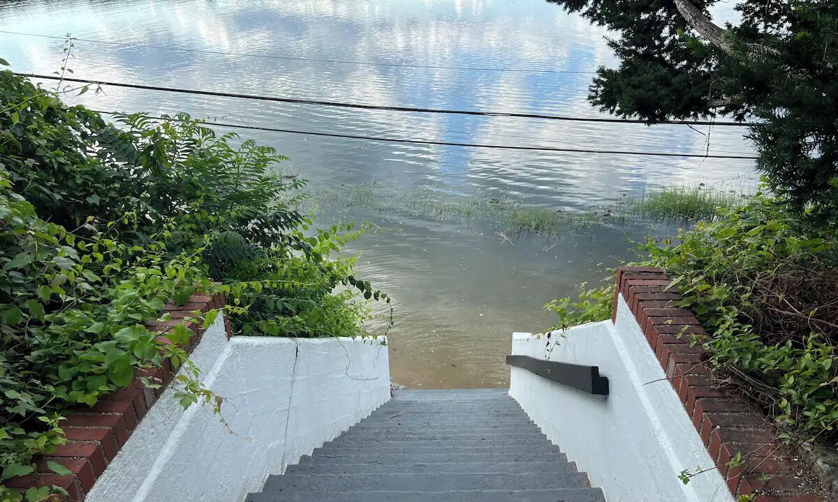 Photo of Outdoor in Mill Neck