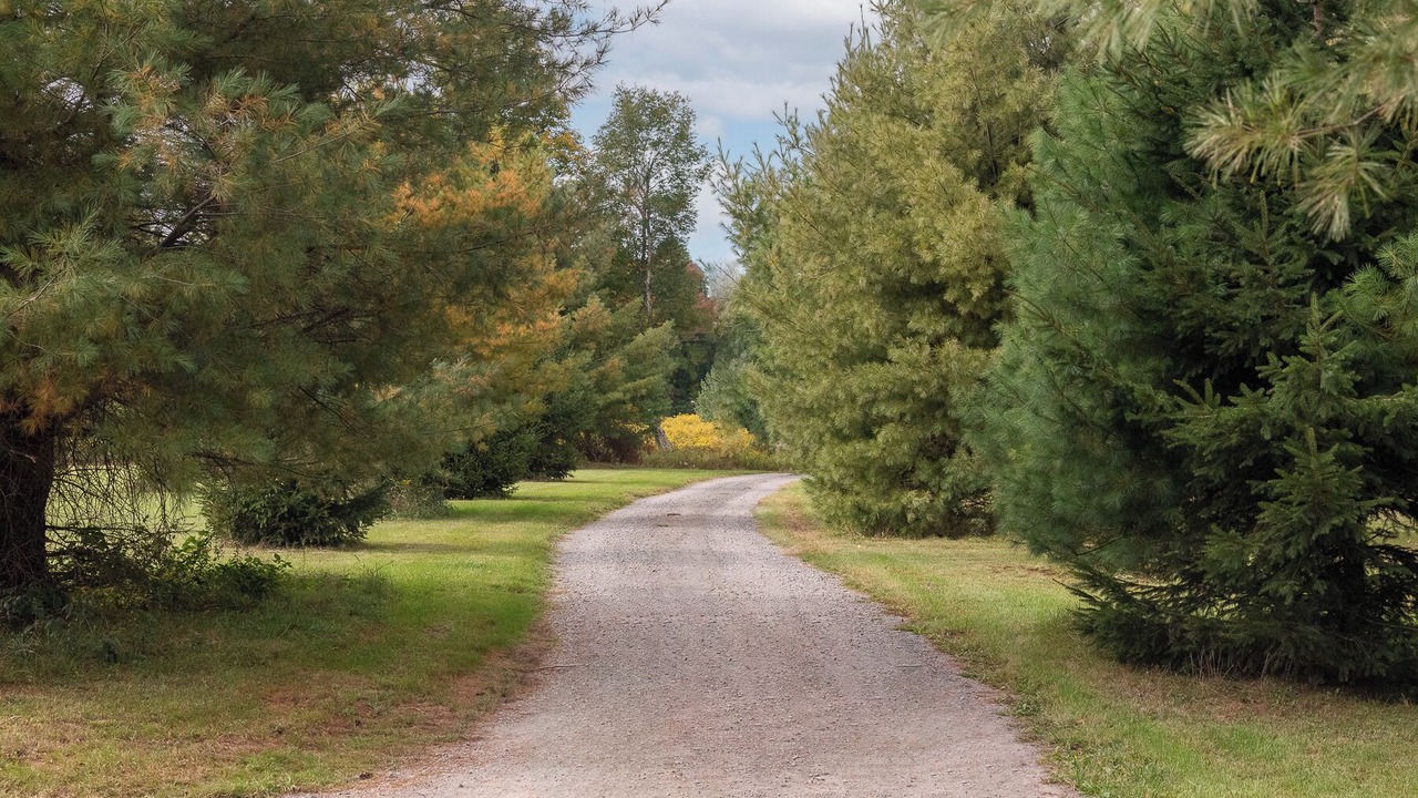 Photo of Outdoor in Davenport