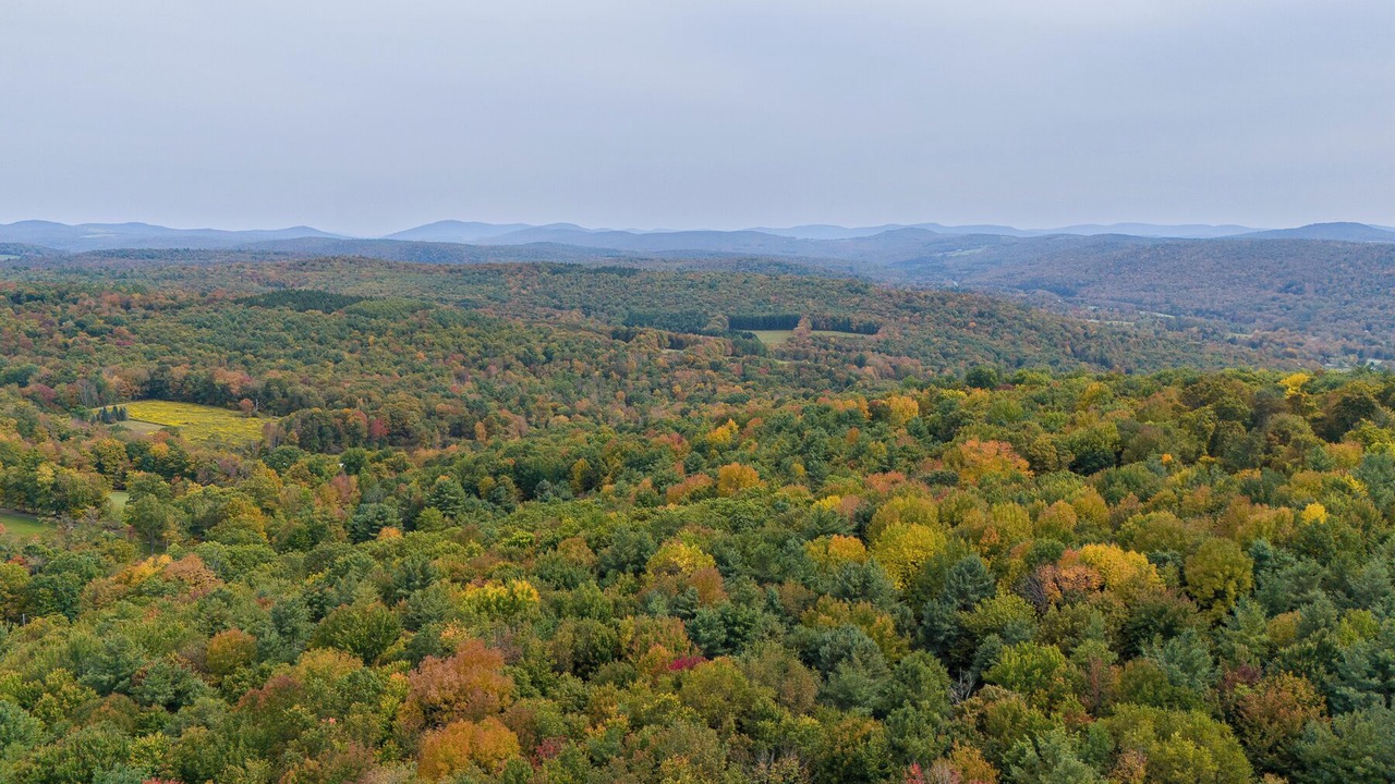 Photo of Others in Davenport