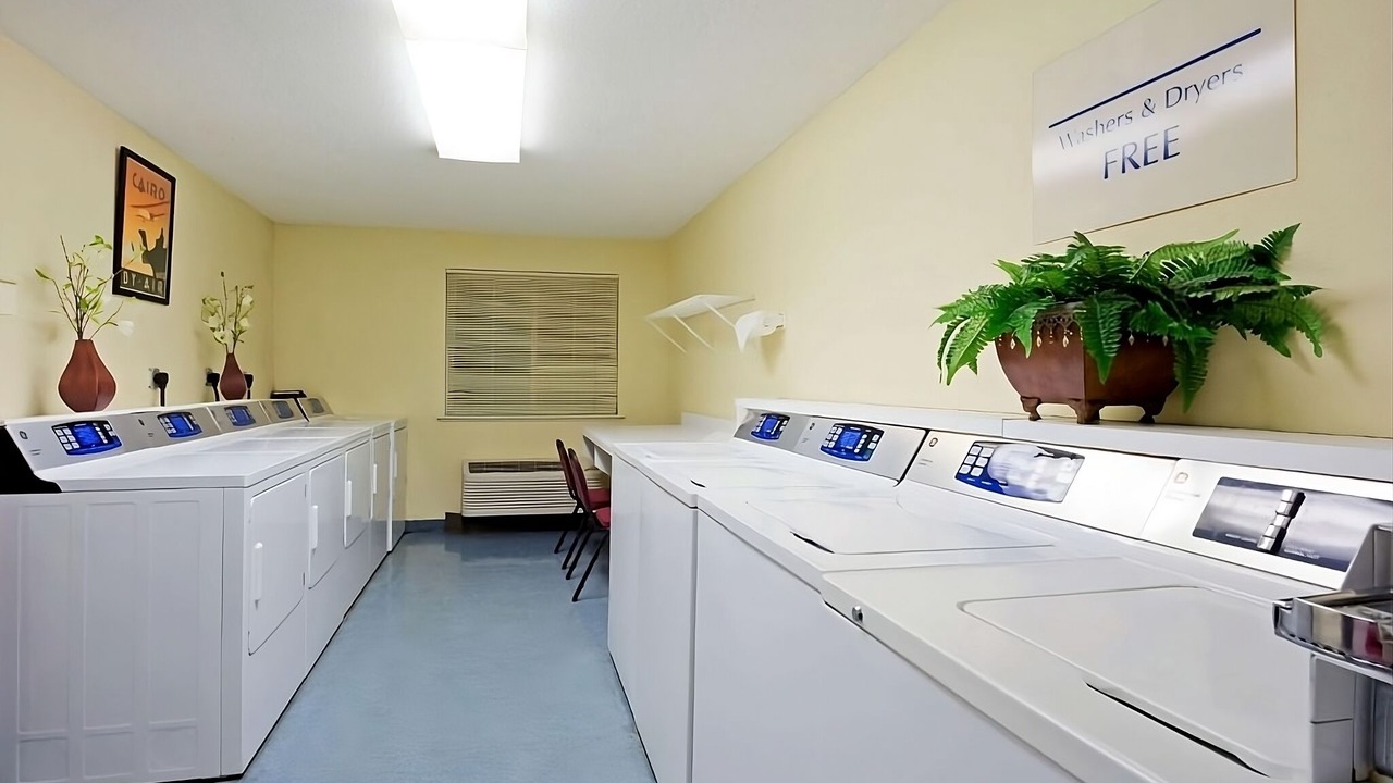 Photo of Others in Morris Plains