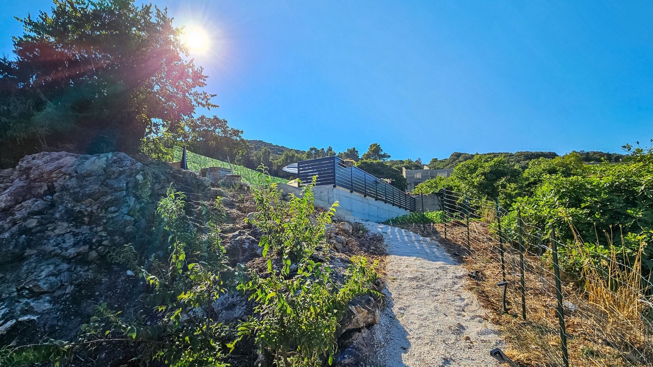 Photo of Others in Popova Luka