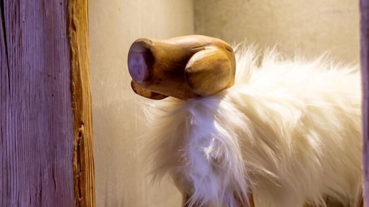 Photo of Others in Cohennoz