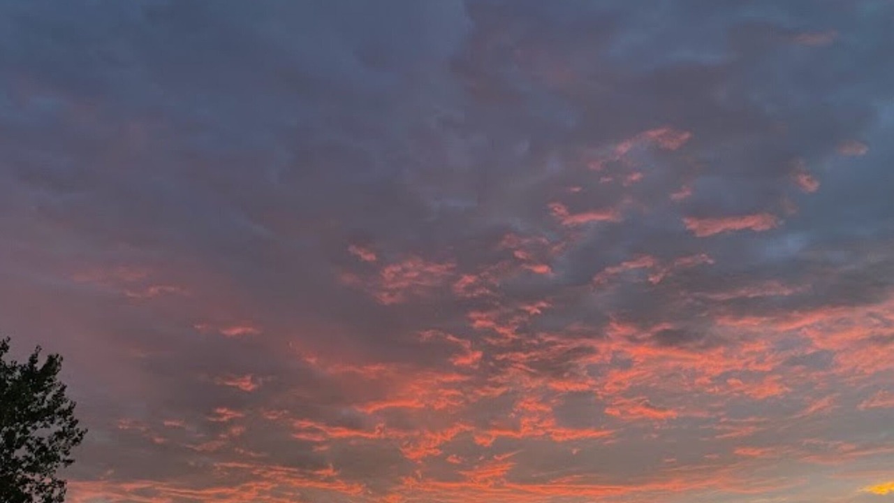 Photo of Others in Lodi