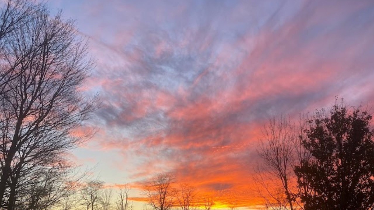 Photo of Outdoor in Lodi