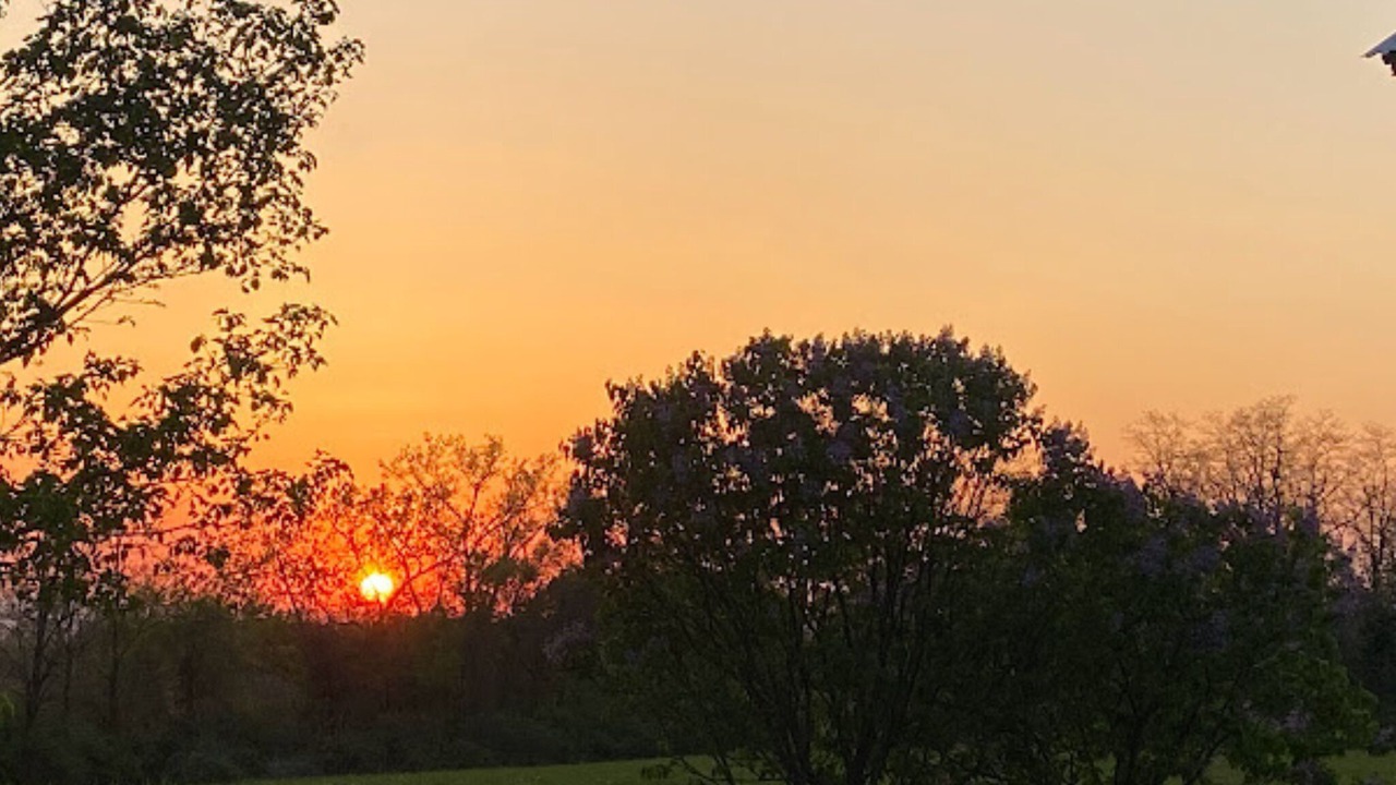 Photo of Others in Lodi