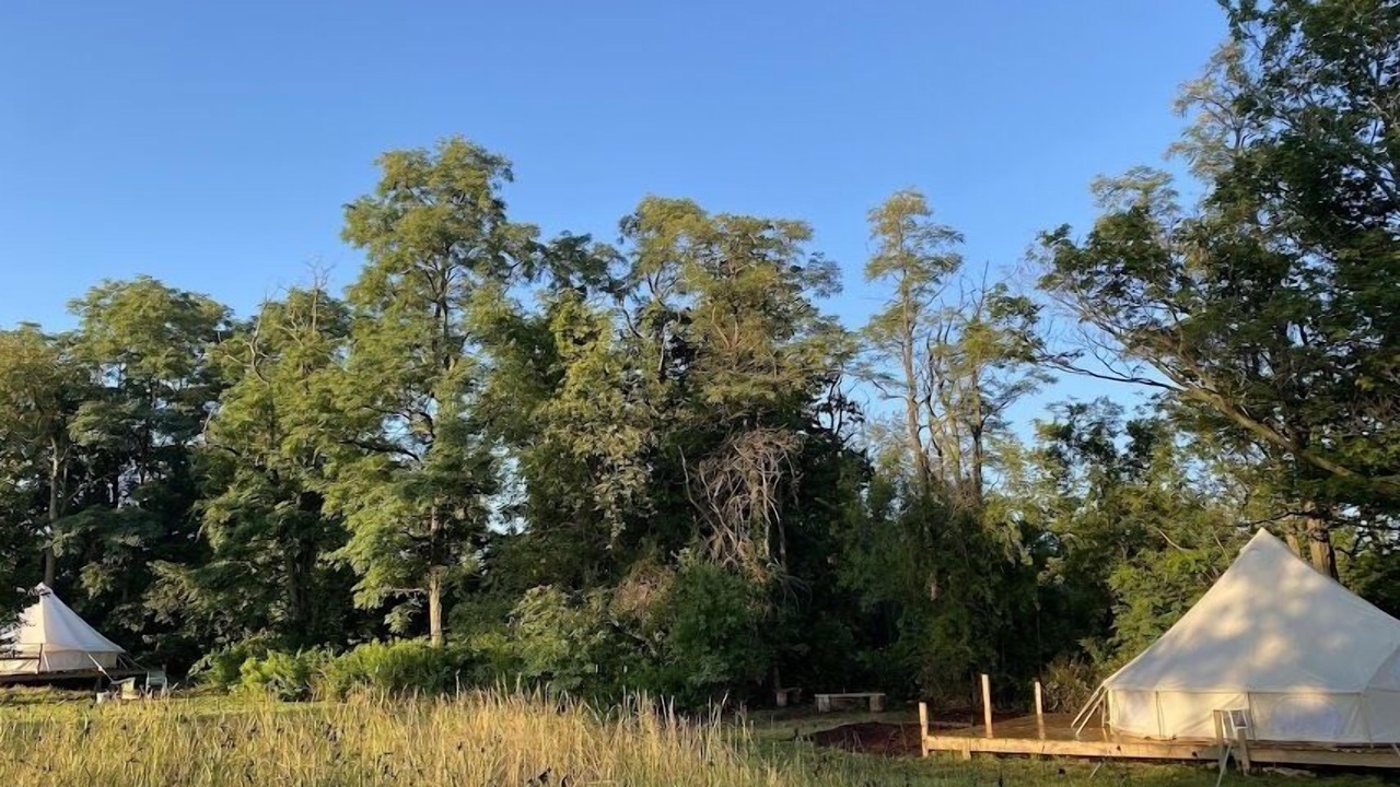 Photo of Outdoor in Lodi