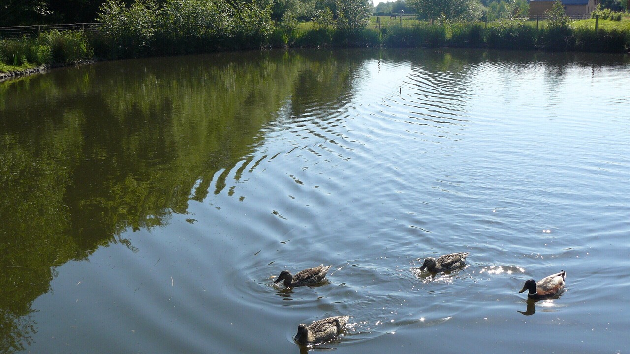 Photo of Others in Saint-Martin-des-Champs