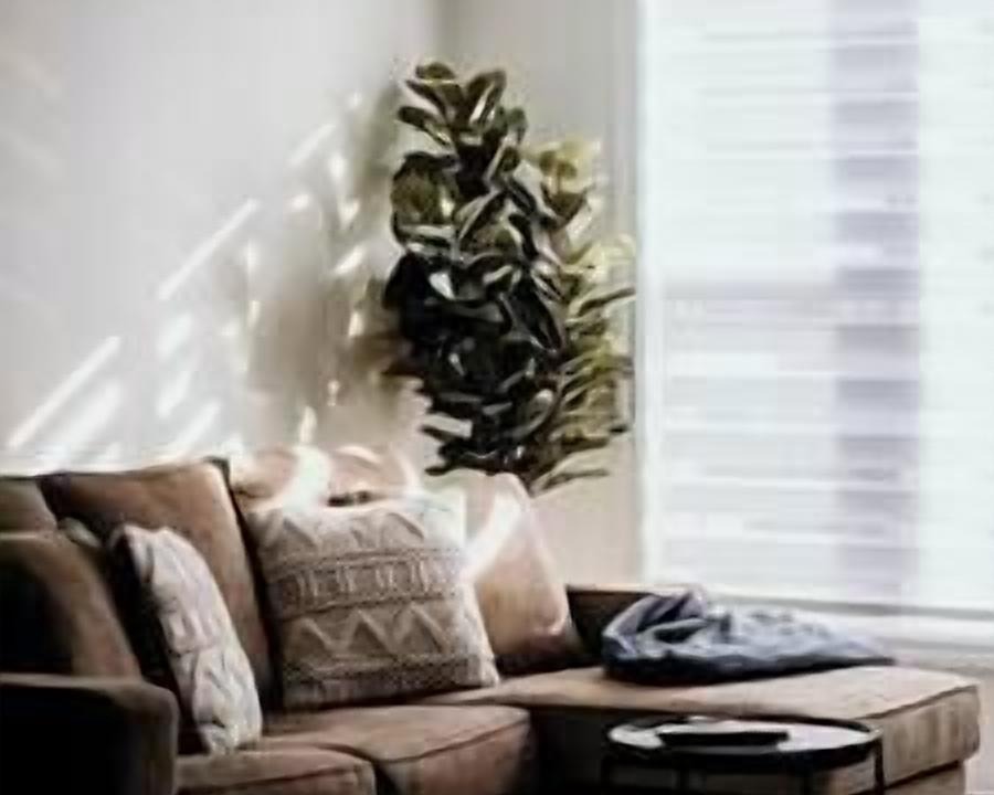 Photo of Others in Campbellton