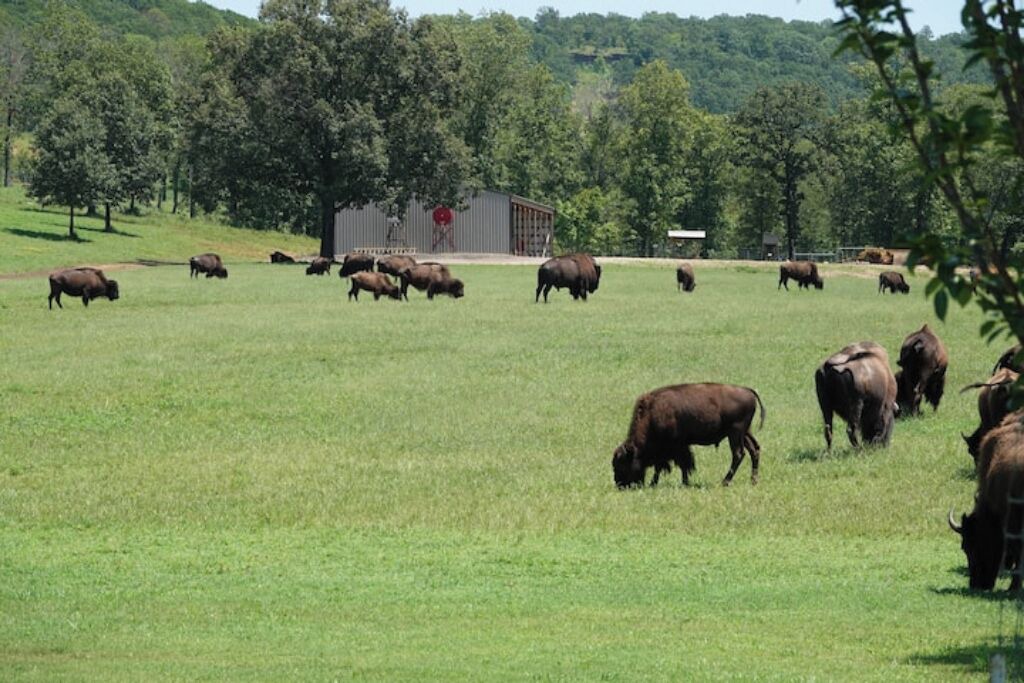 Photo of Others in Stilwell