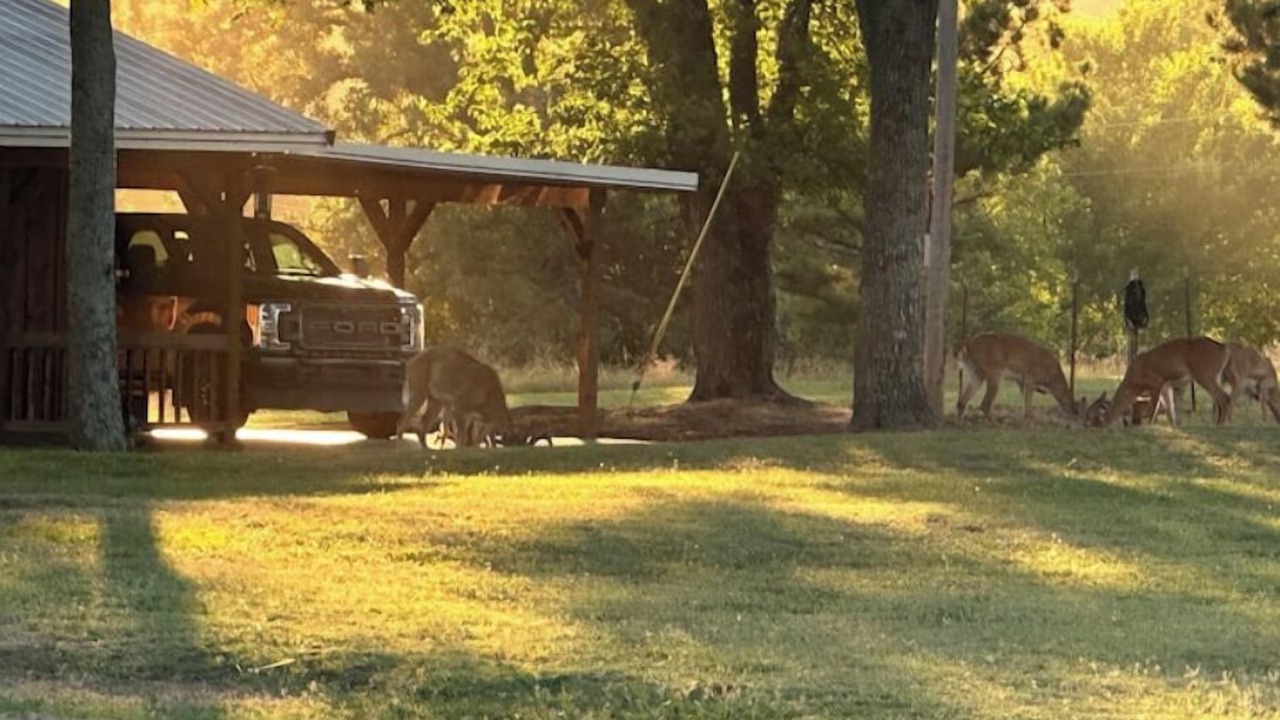 Photo of Outdoor in Stilwell