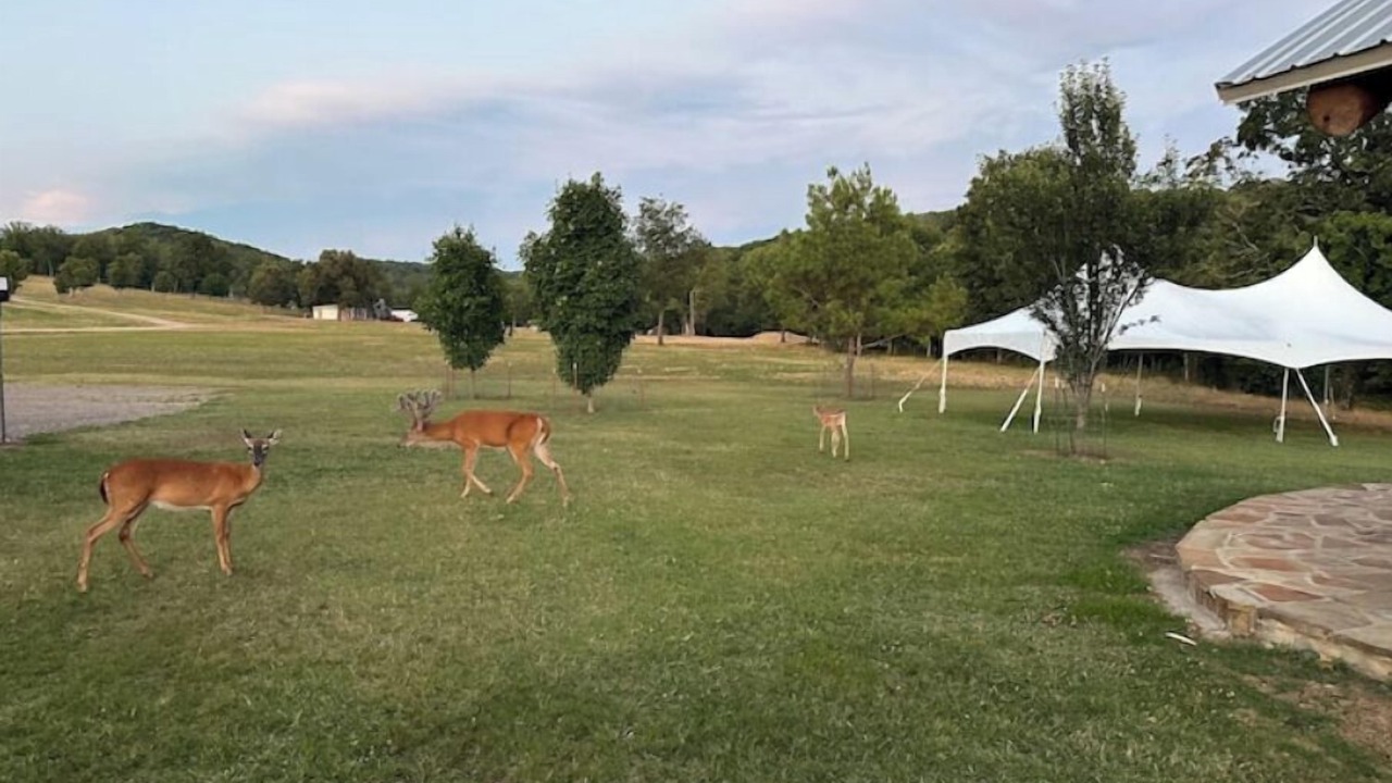 Photo of Outdoor in Stilwell