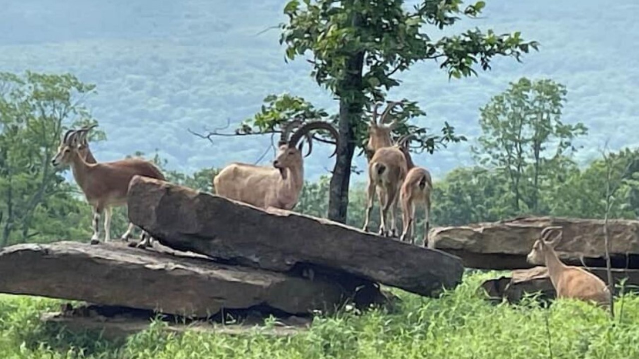 Photo of Outdoor in Stilwell
