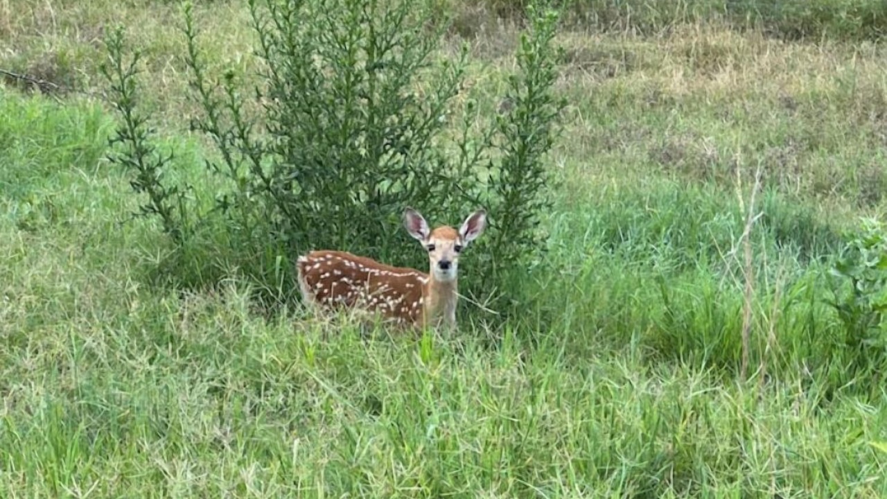 Photo of Others in Stilwell