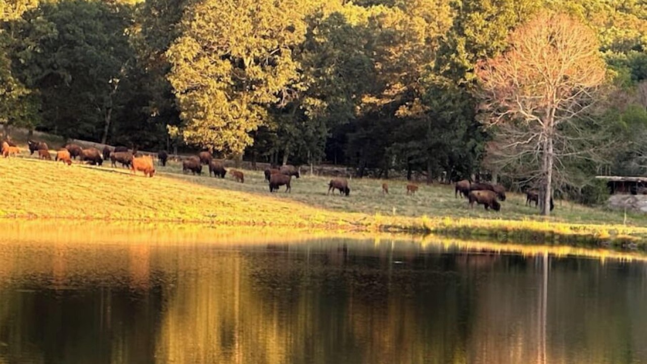 Photo of Others in Stilwell
