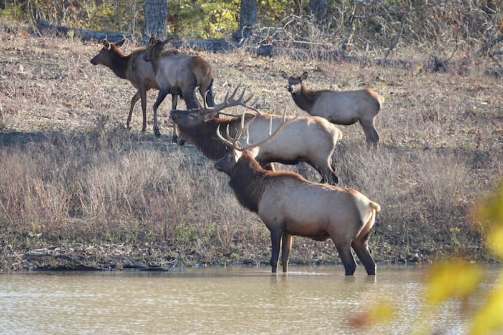 Photo of Others in Stilwell